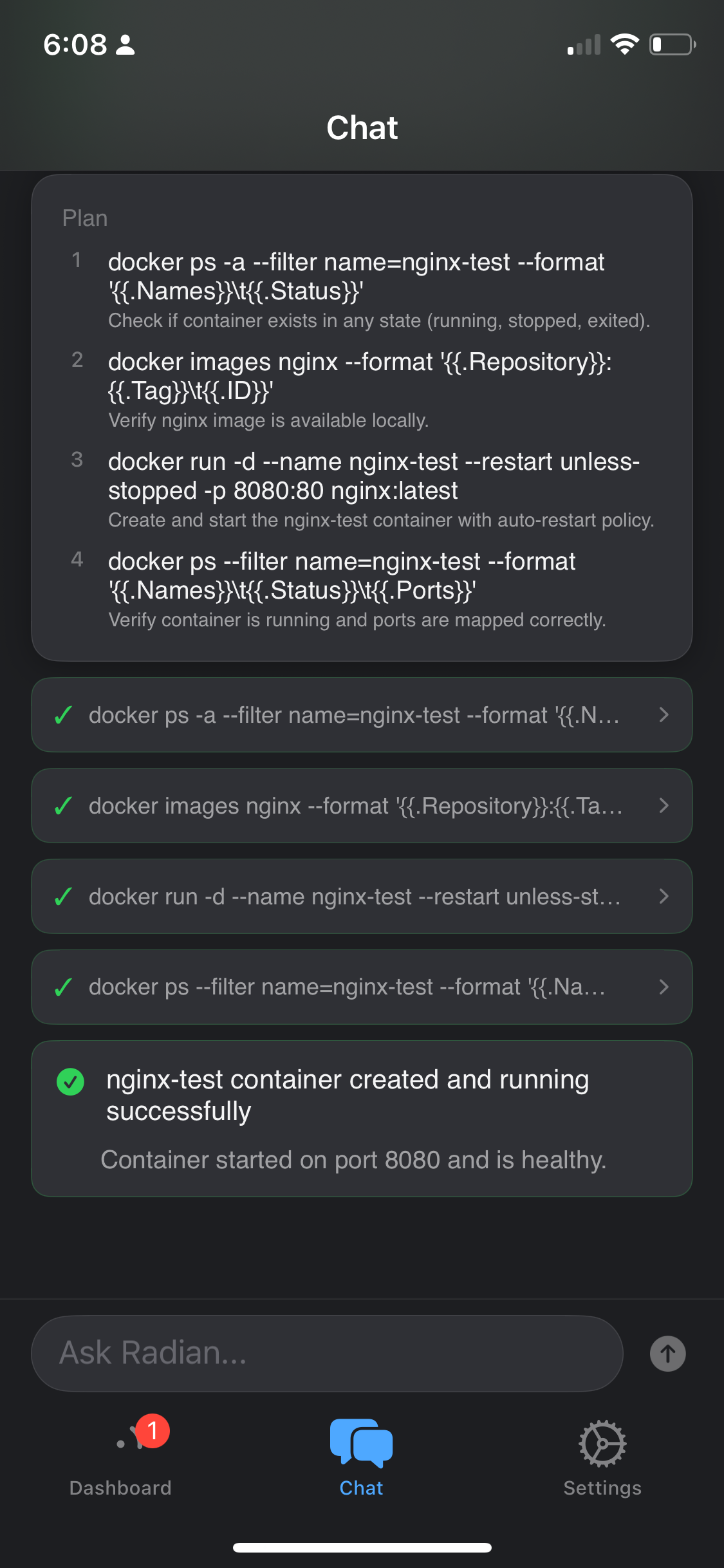 Radian iOS chat showing the executed commands with success confirmation